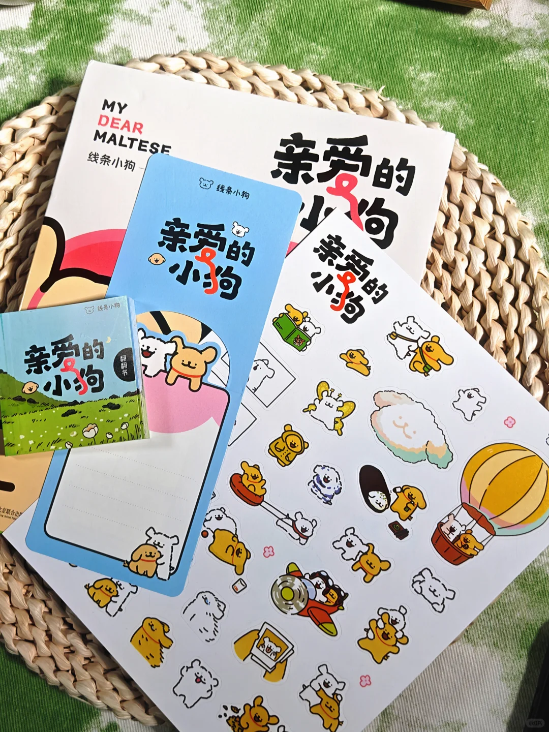 “治愈系书单，翻开每一页都让心暖起来✨”