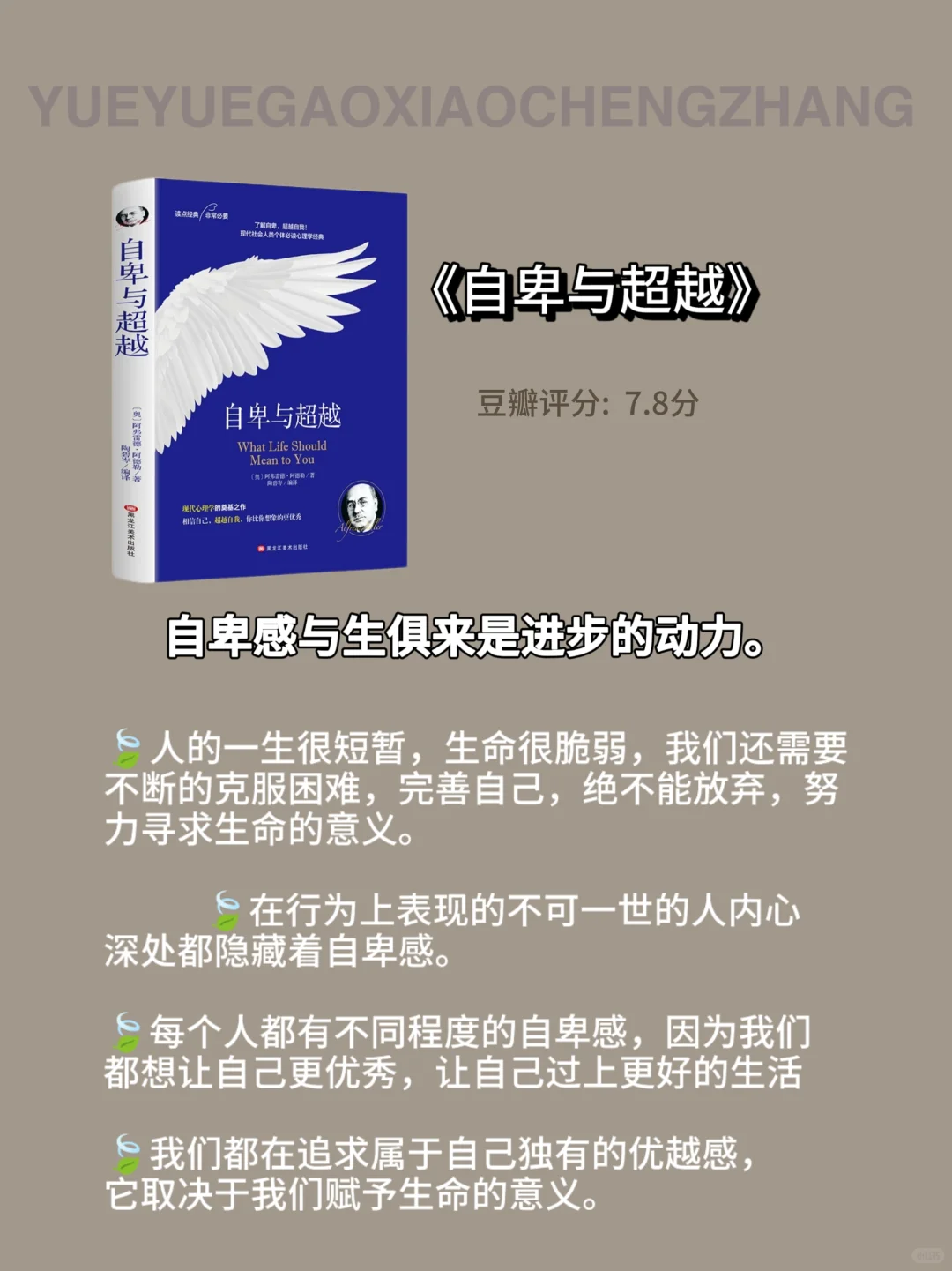 6本书，塑造我的世界观，人生的转折点