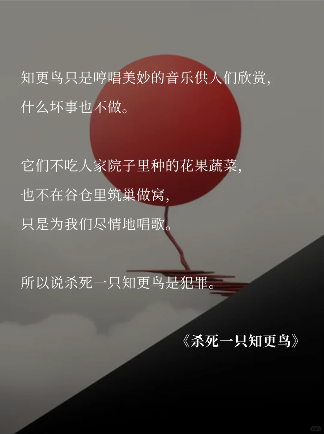 《杀死一只知更鸟》：克服自己的偏见