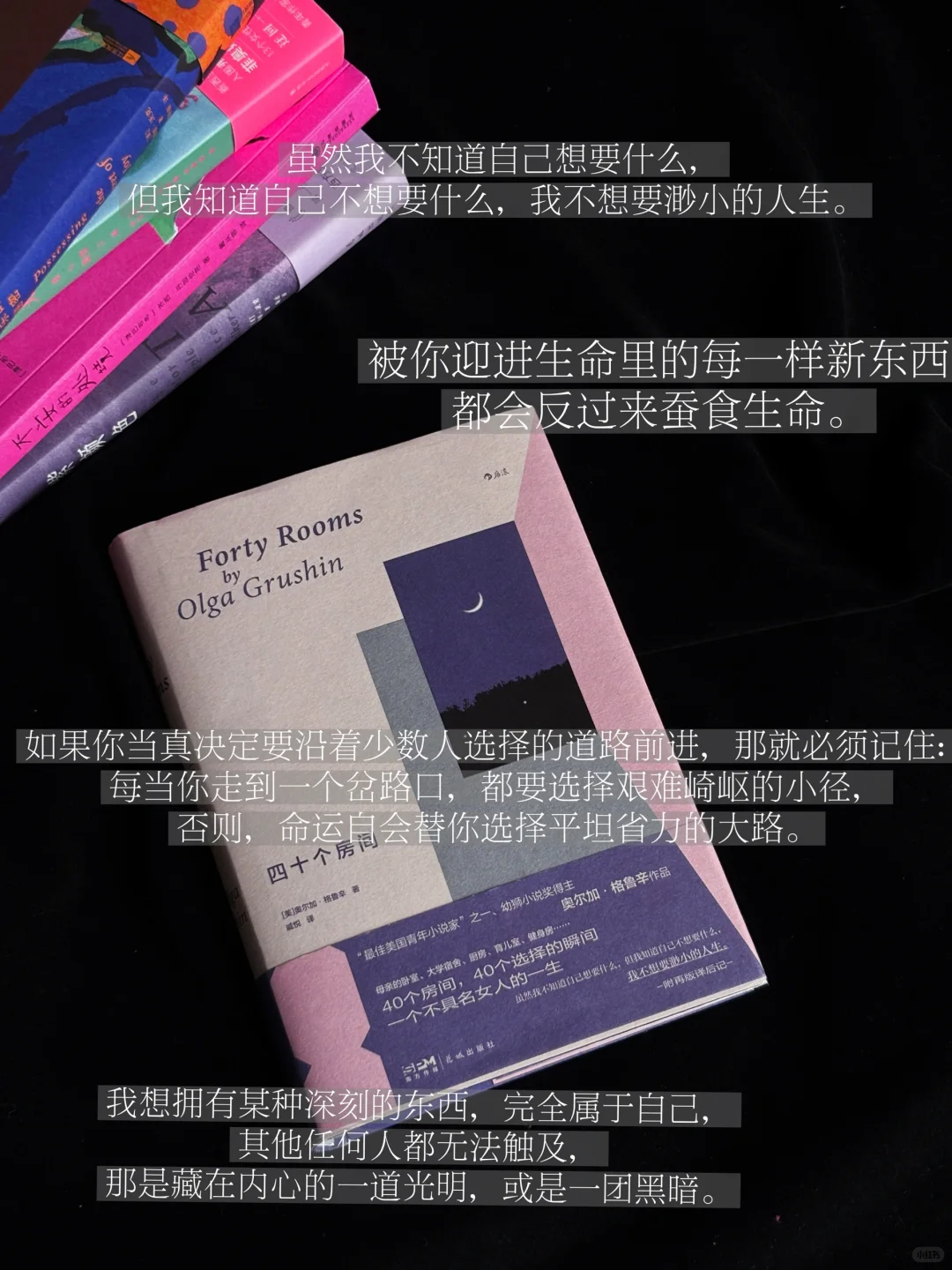 六月书单|永远为女作家着迷（第一辑）