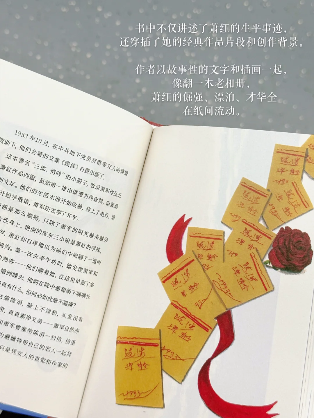 🚇 通勤书单｜读她——在没有路的地方行走🍂