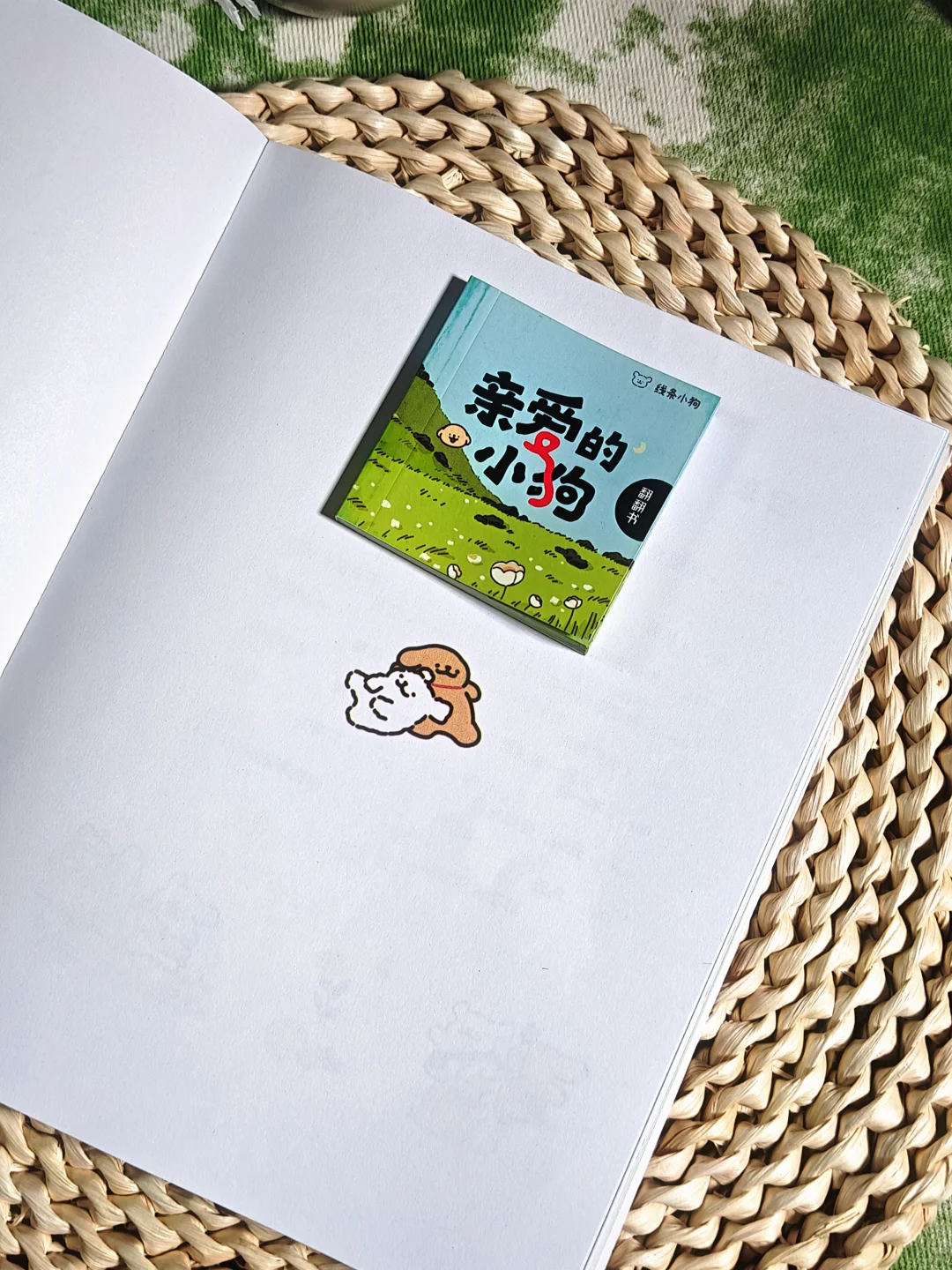 “治愈系书单，翻开每一页都让心暖起来✨”