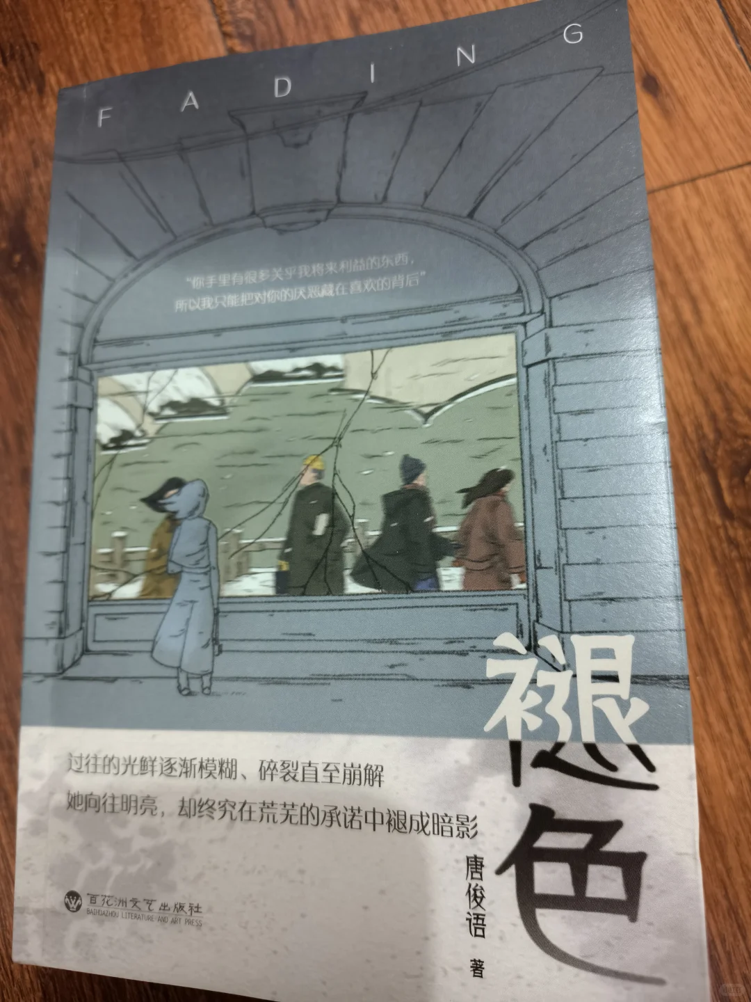 小说《褪色》