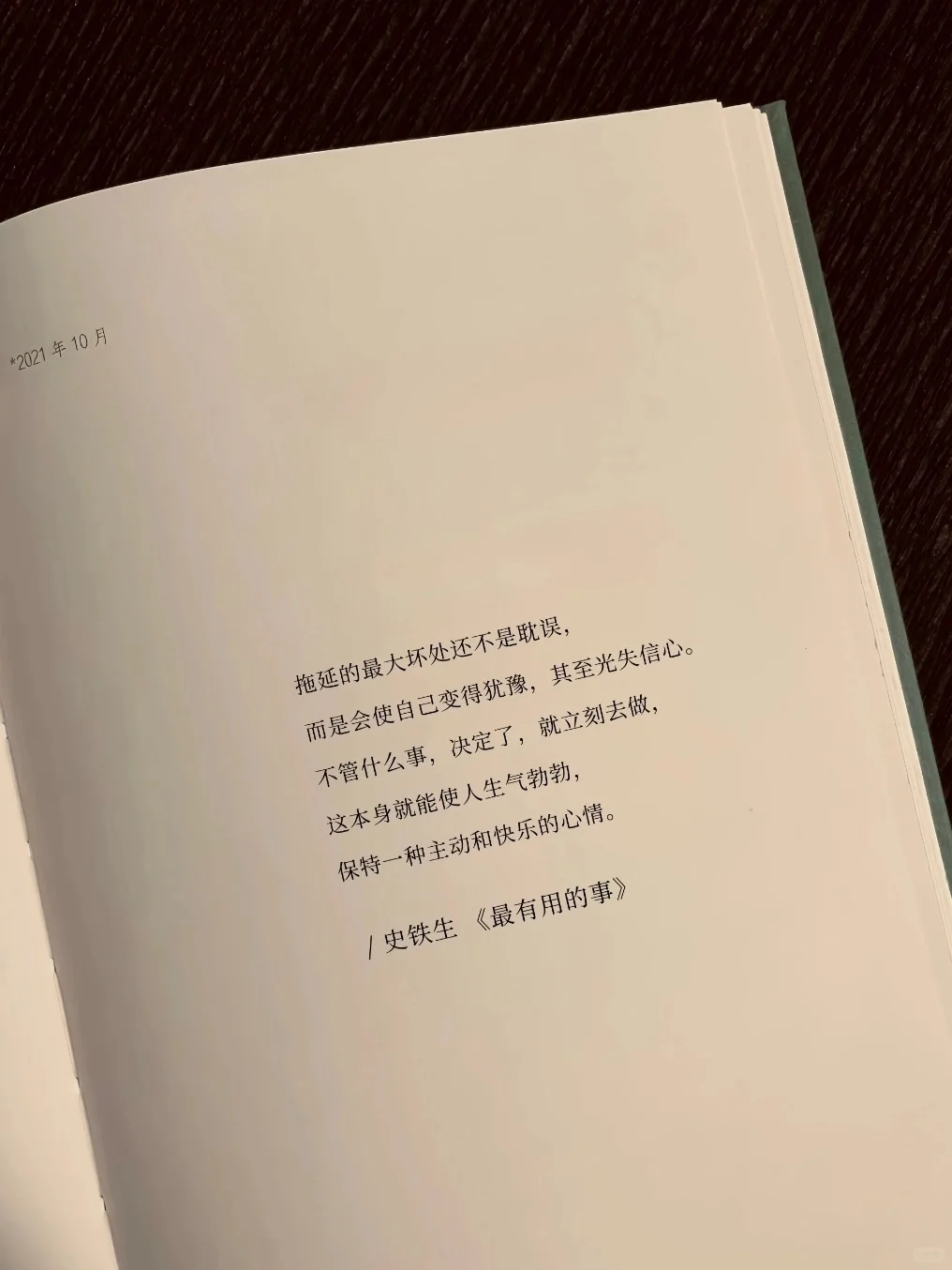 史铁生的顶级文笔
