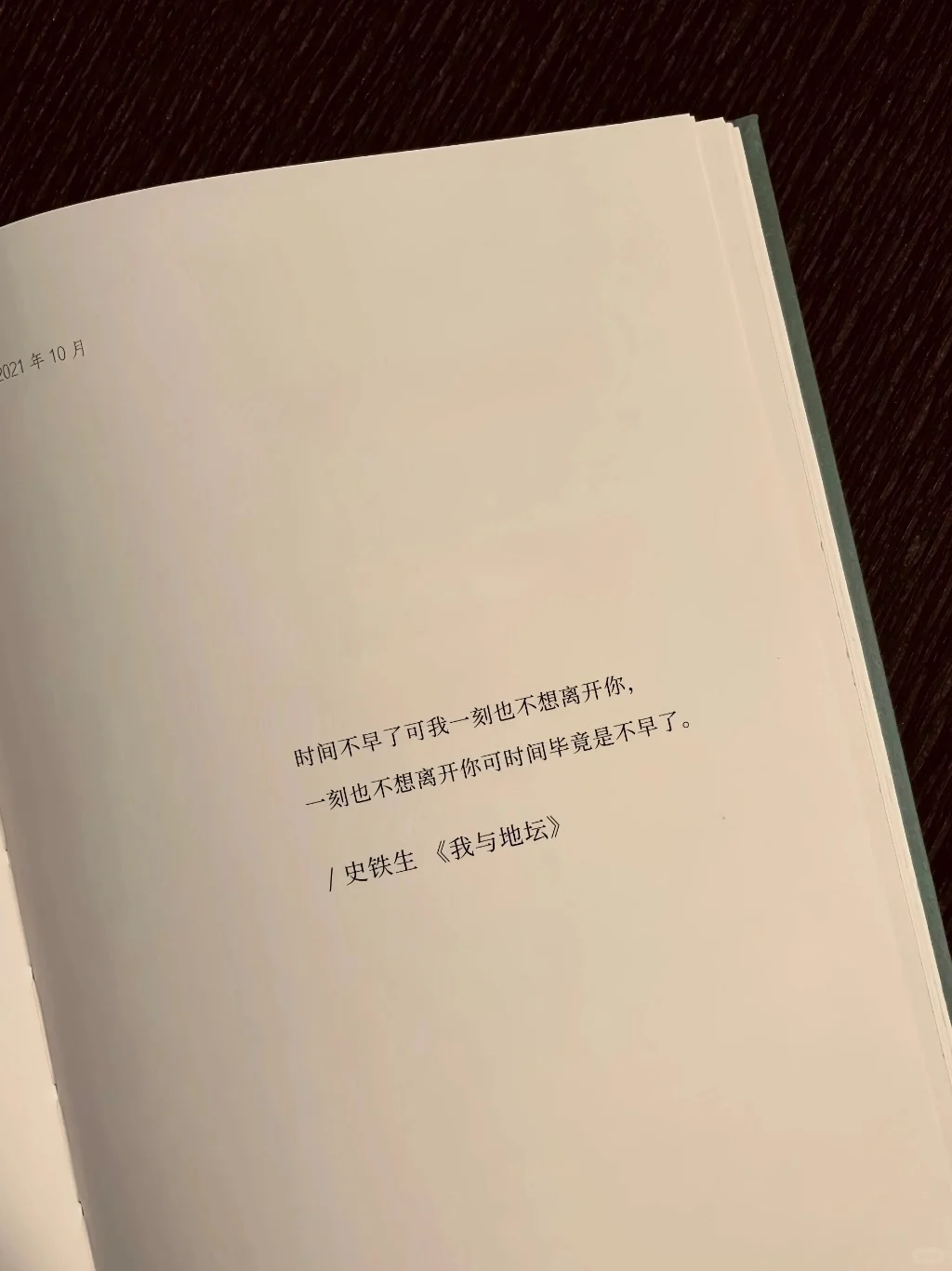 史铁生的顶级文笔