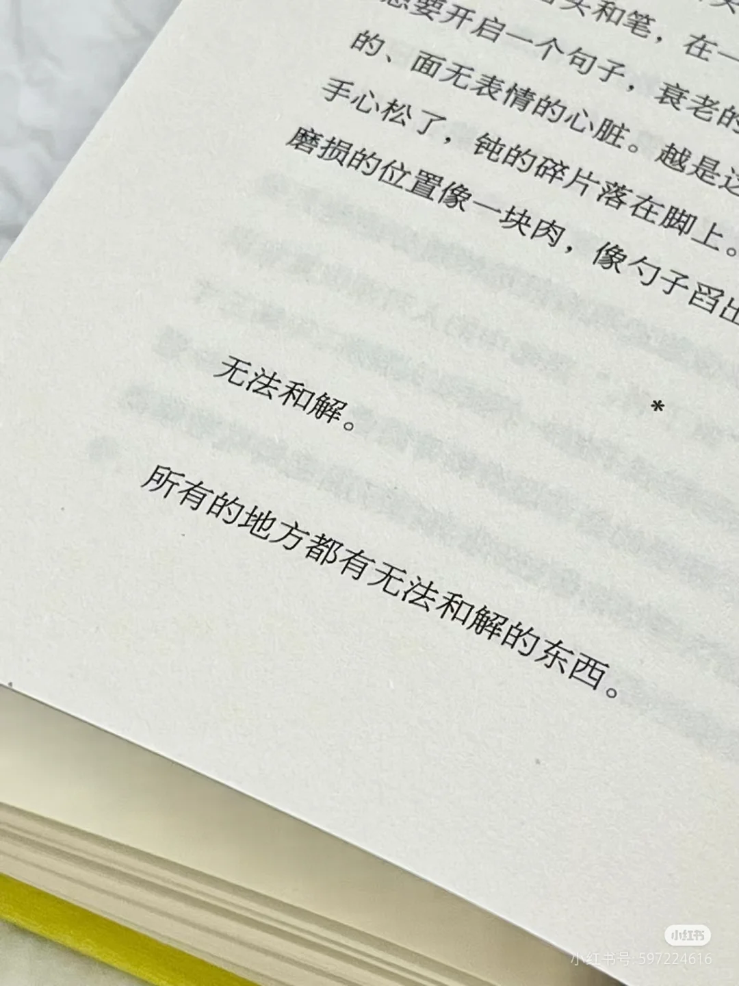 我认真地爱过一点人间