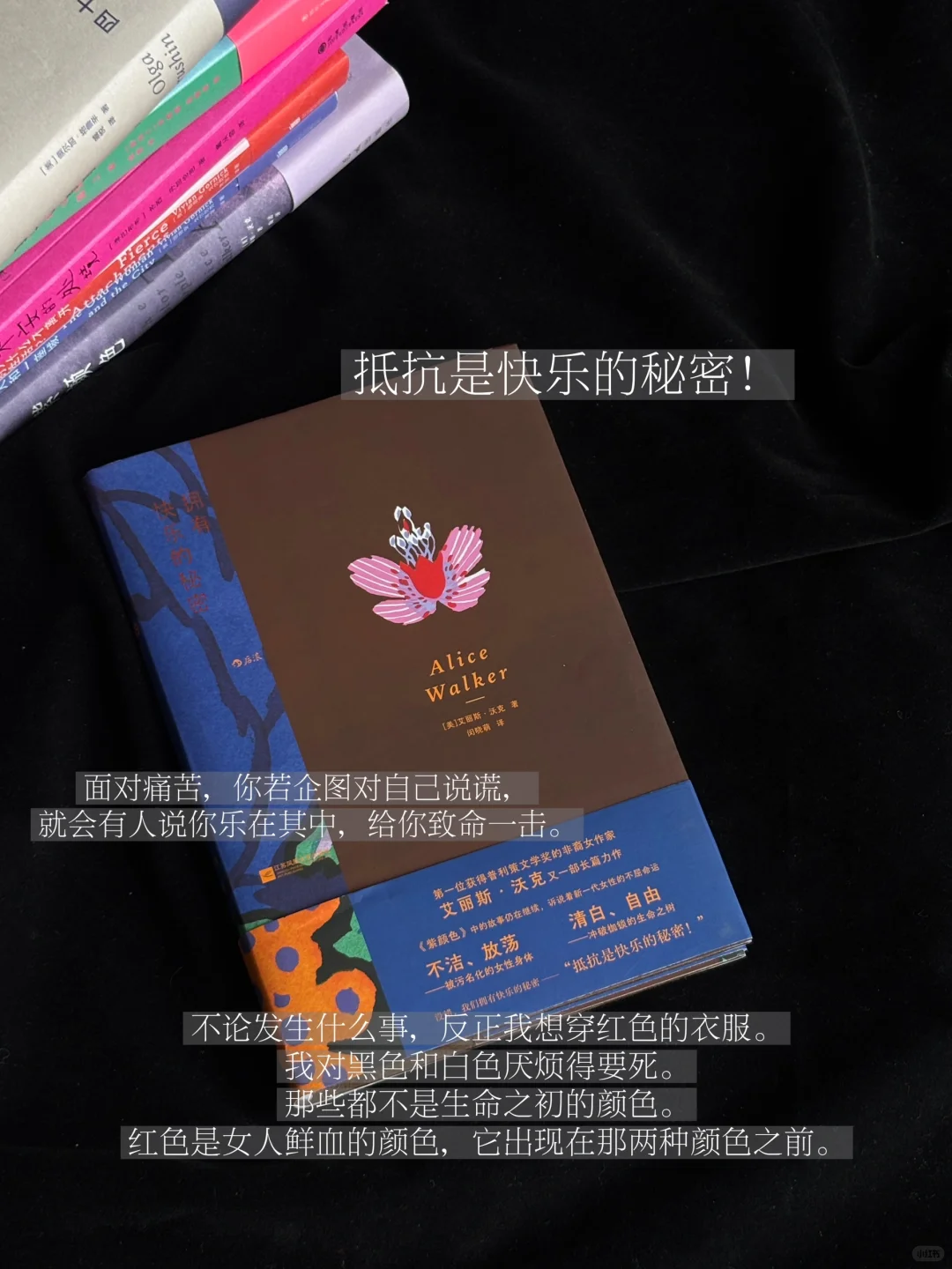 六月书单|永远为女作家着迷（第一辑）