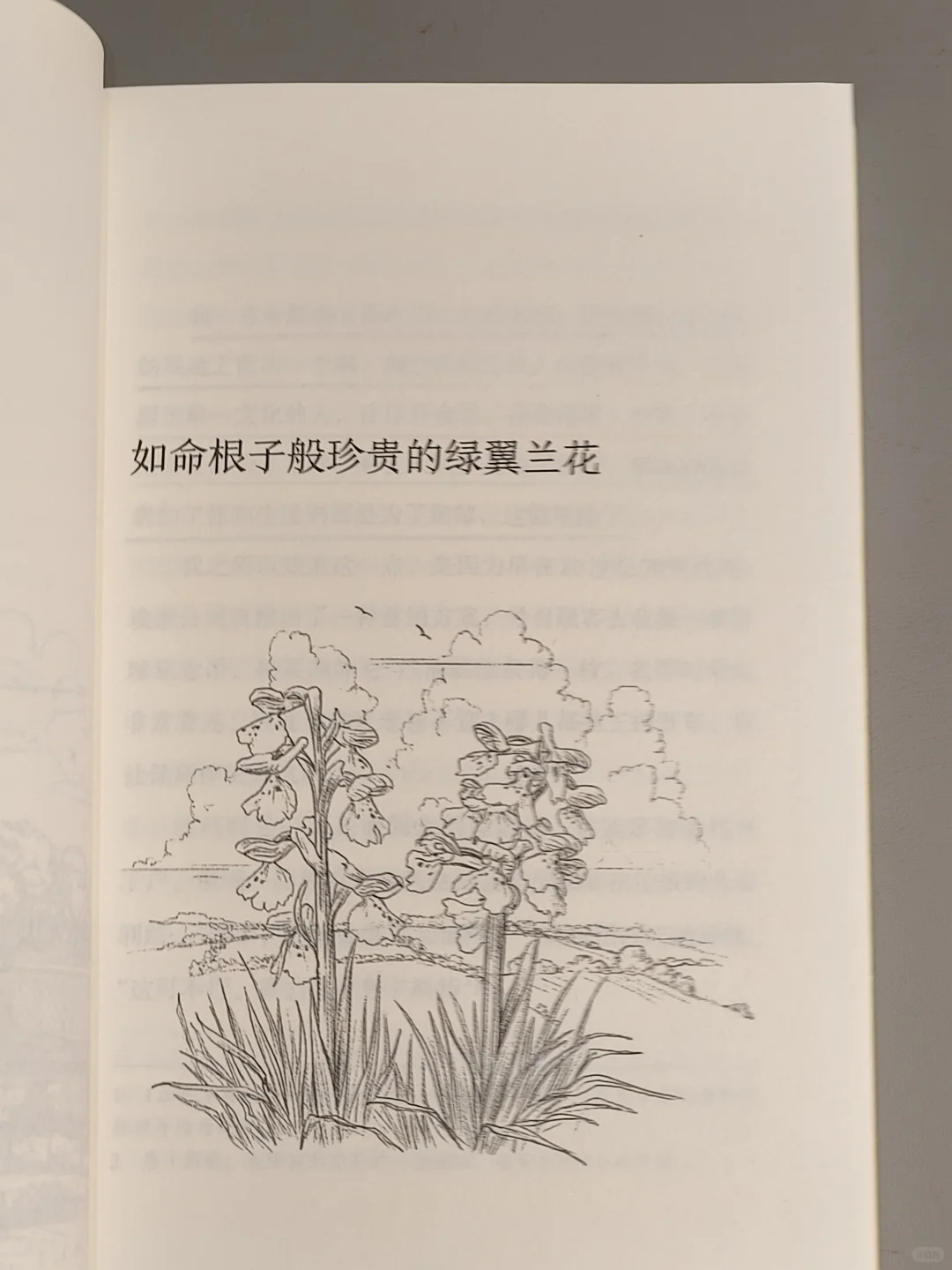 读完这本书，我笑出了腹肌！