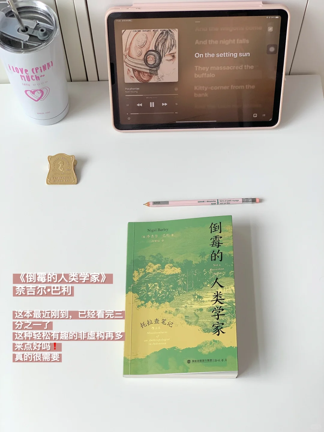 分享一波超古怪又有趣的历史社科书单❗