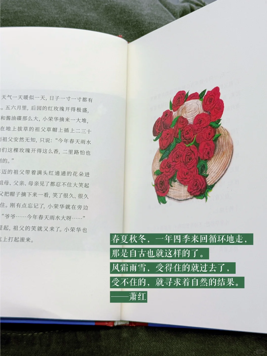 🚇 通勤书单｜读她——在没有路的地方行走🍂
