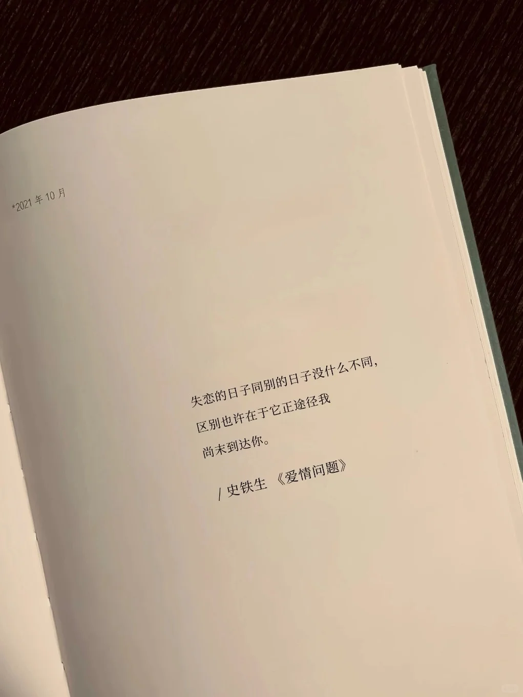 史铁生的顶级文笔