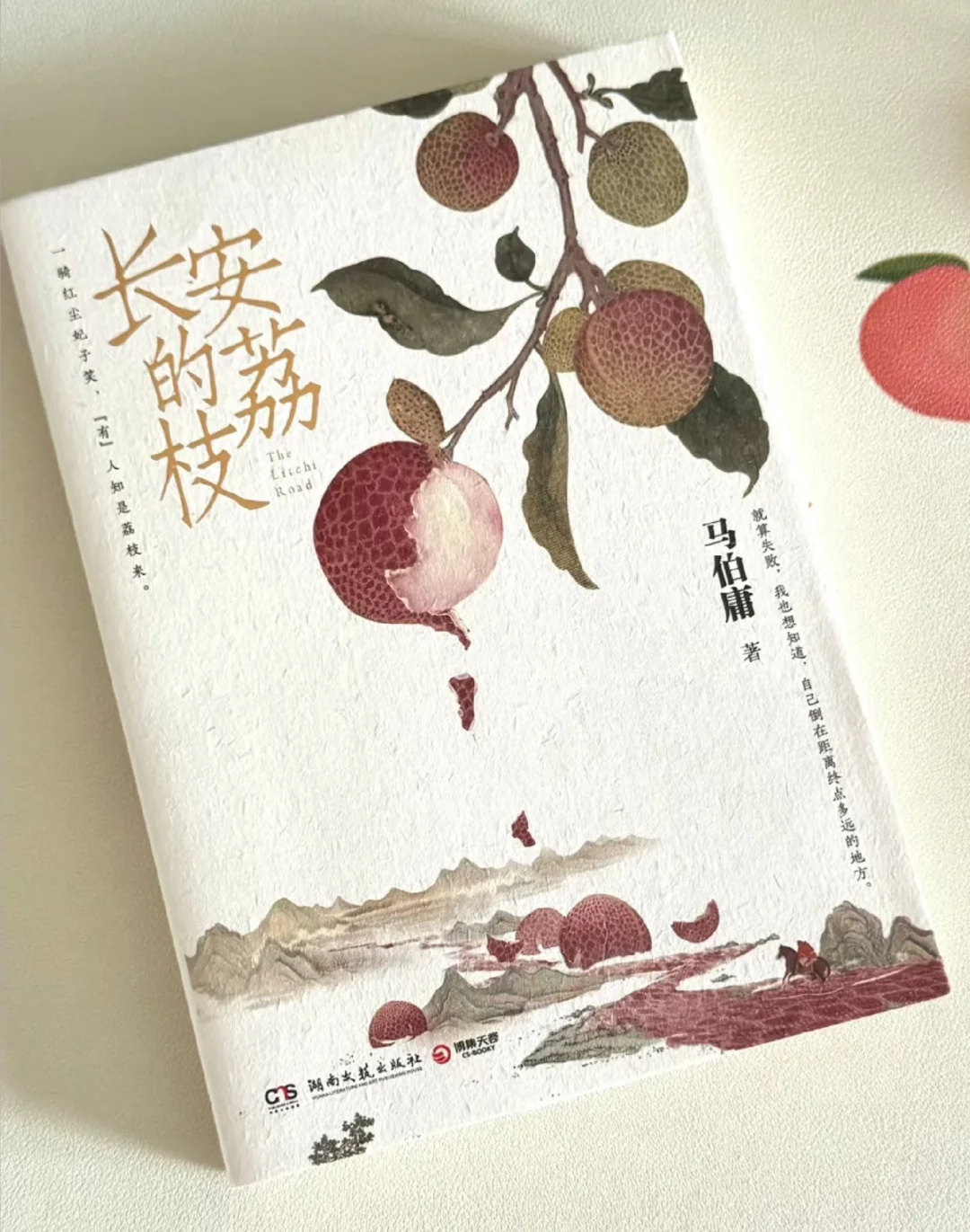 《长安的荔枝》真的好好看，熬夜看完了❗