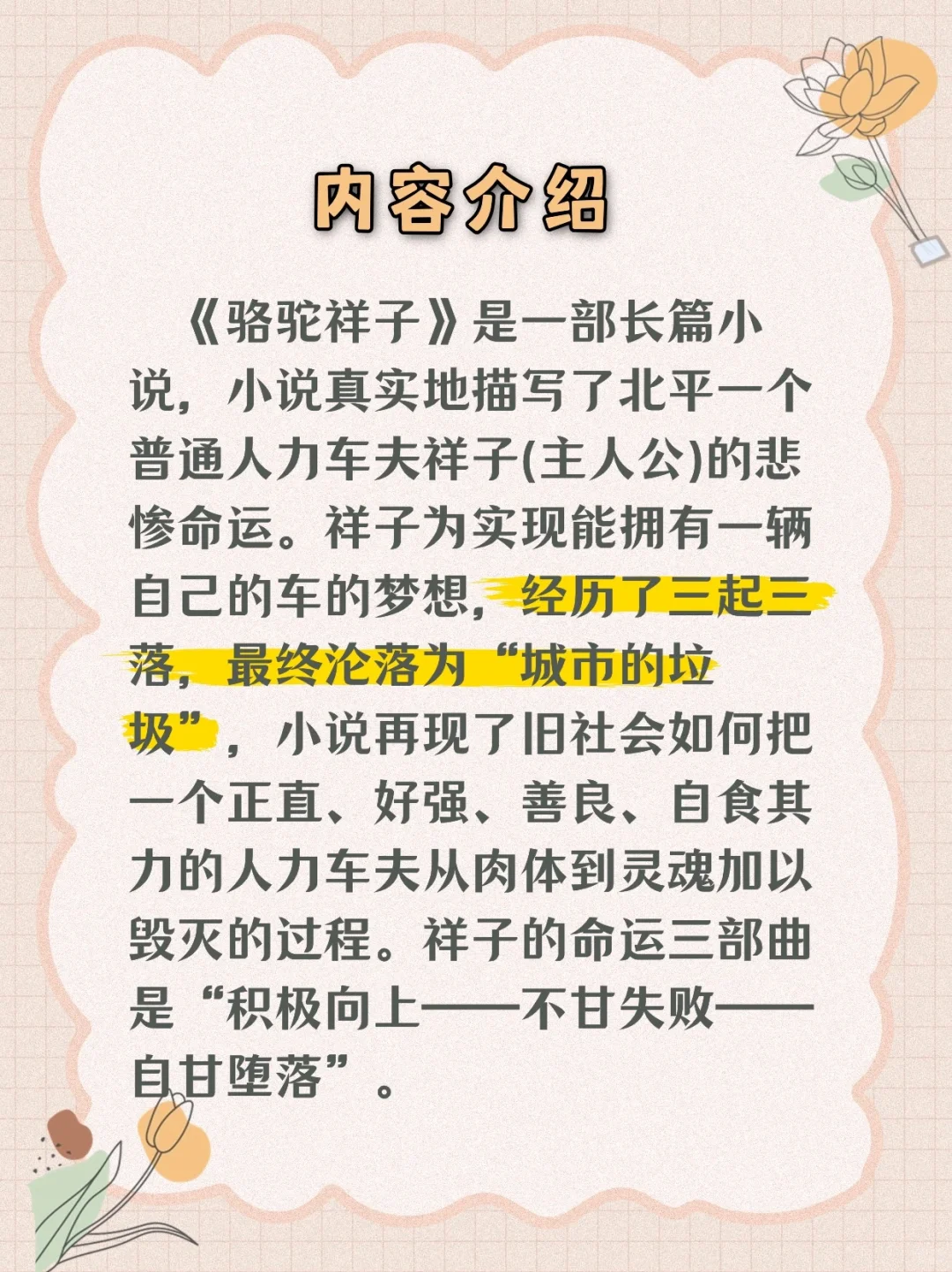 十分钟搞定老舍《骆驼祥子》🤠读后感不愁