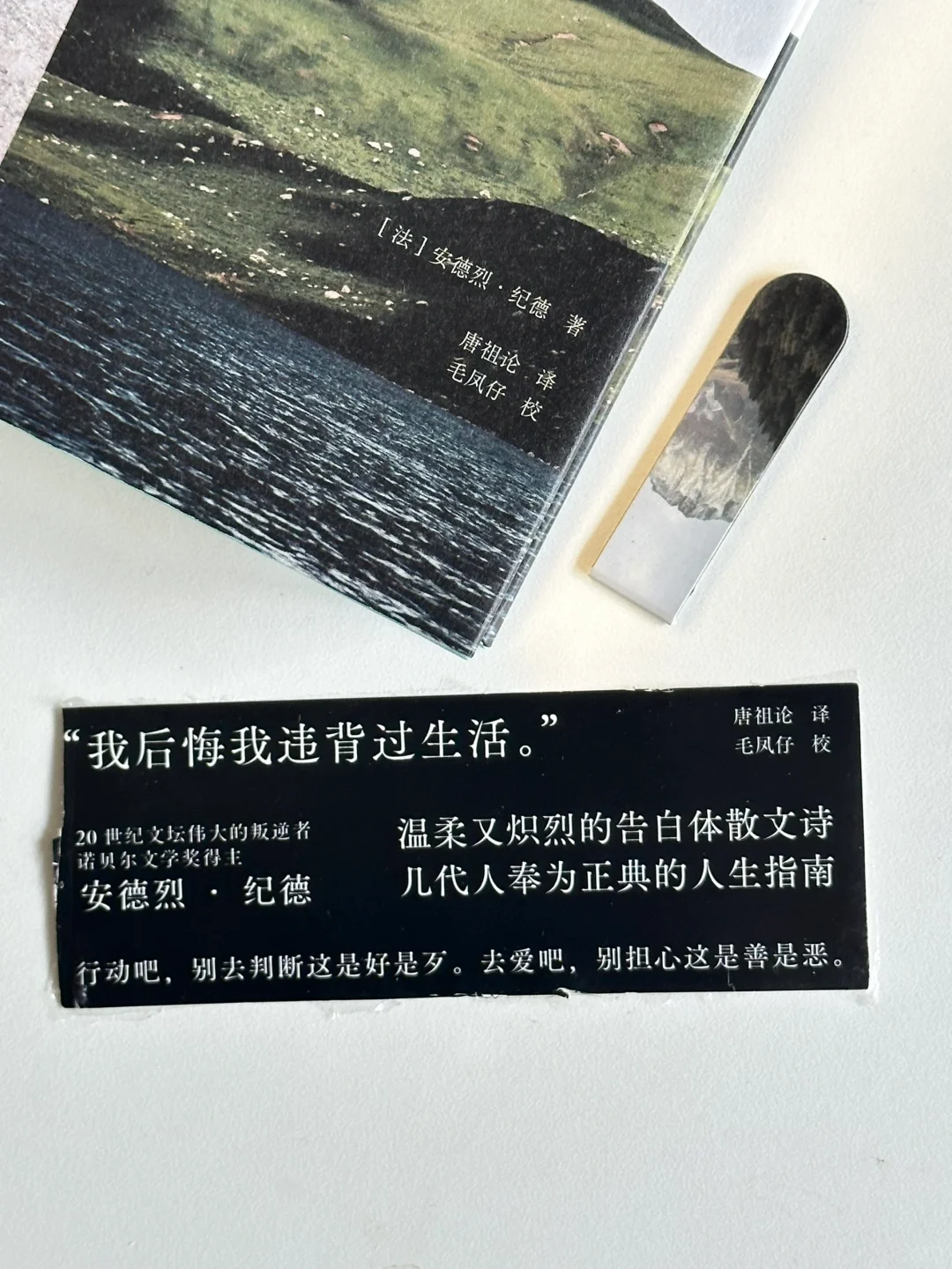 好书分享！“去爱吧，别担心这是善是恶”