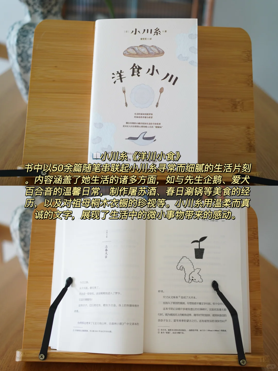 世界读书日|我的年度书单分享！