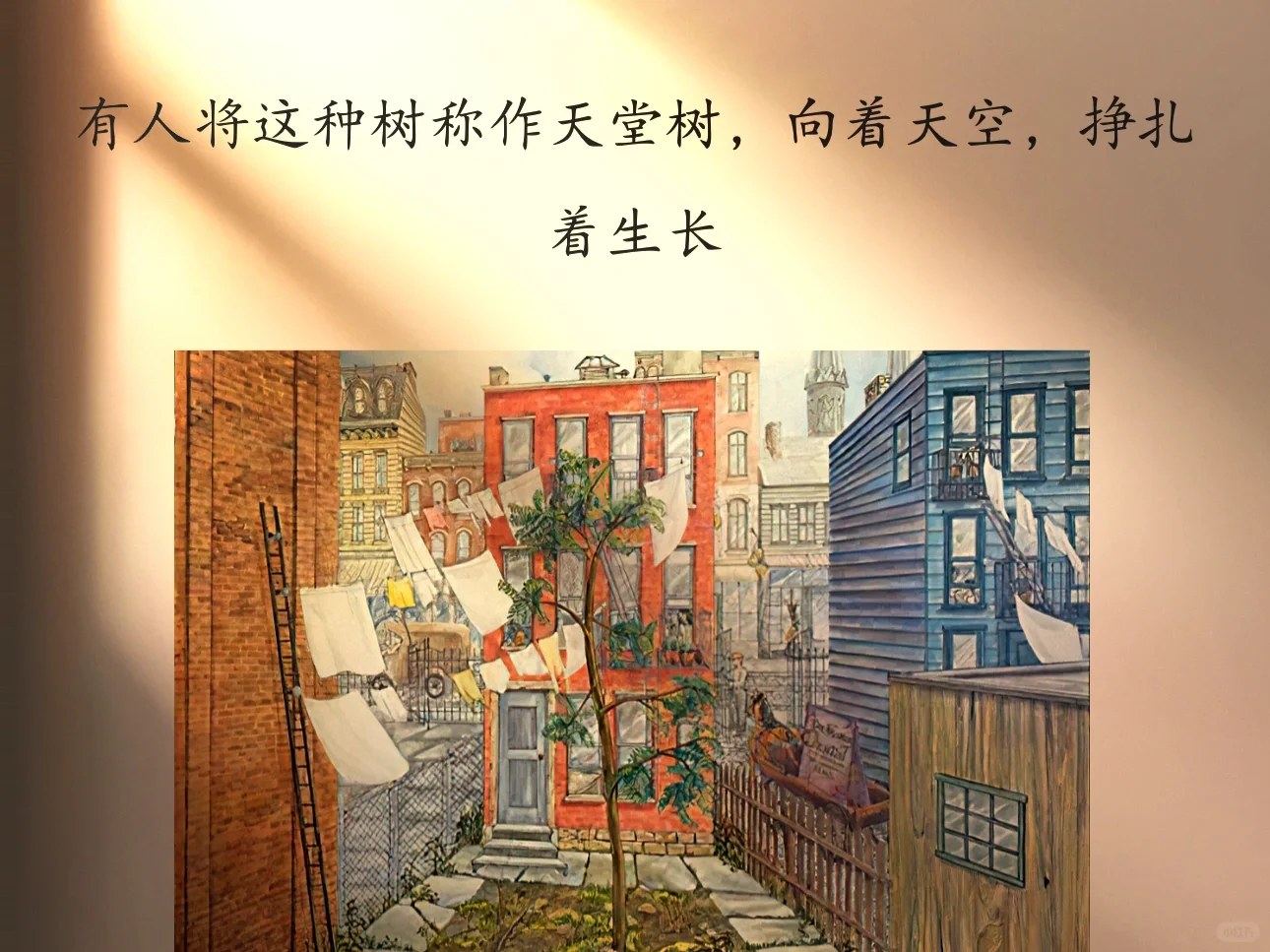 励志又治愈的一本书，走过百年，依然震撼！