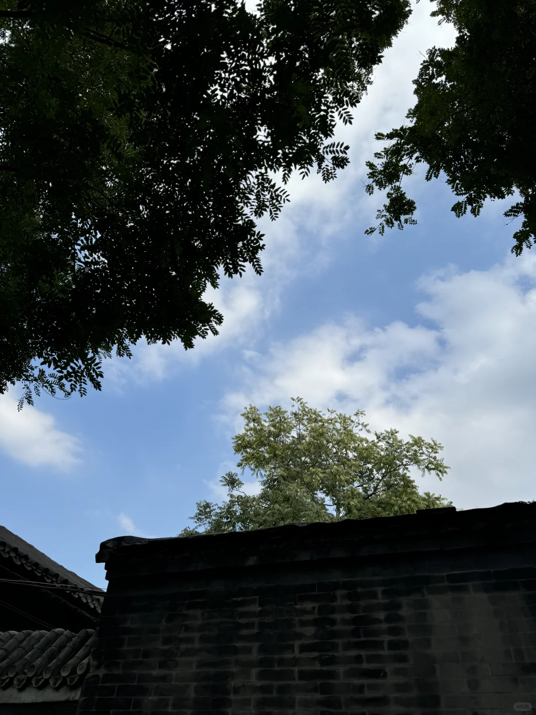 酒行业打工人?|分享酒知识+周五快乐?