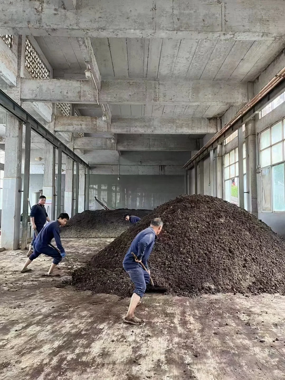 酿酒车间