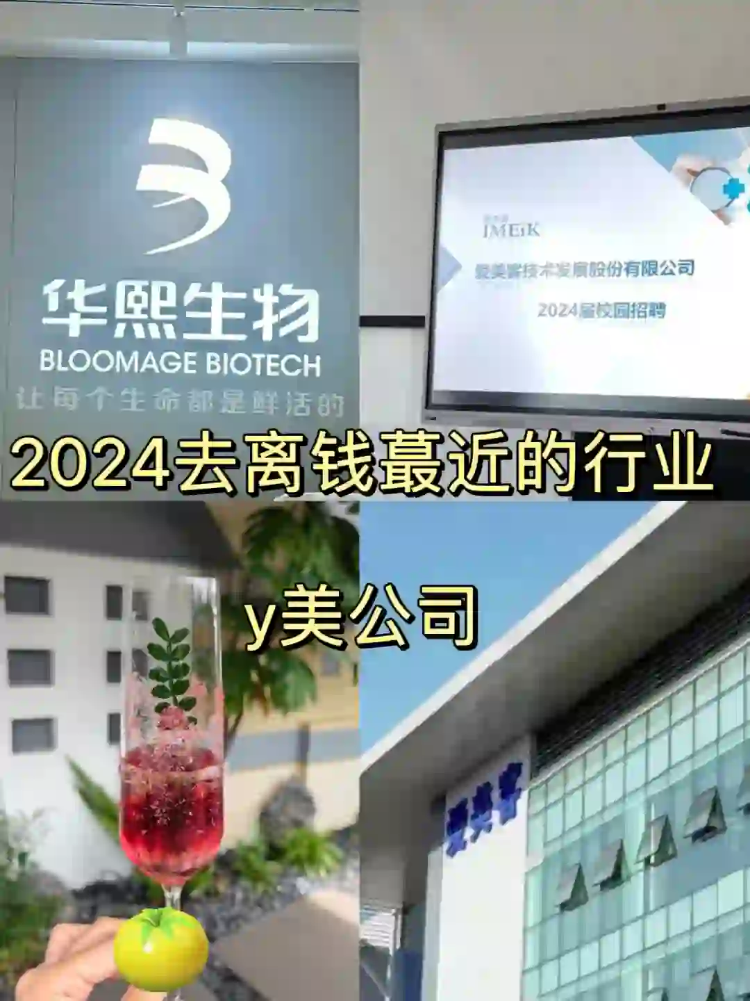 2024去離?蕞近的行業(yè)准颓，y美企業(yè)??