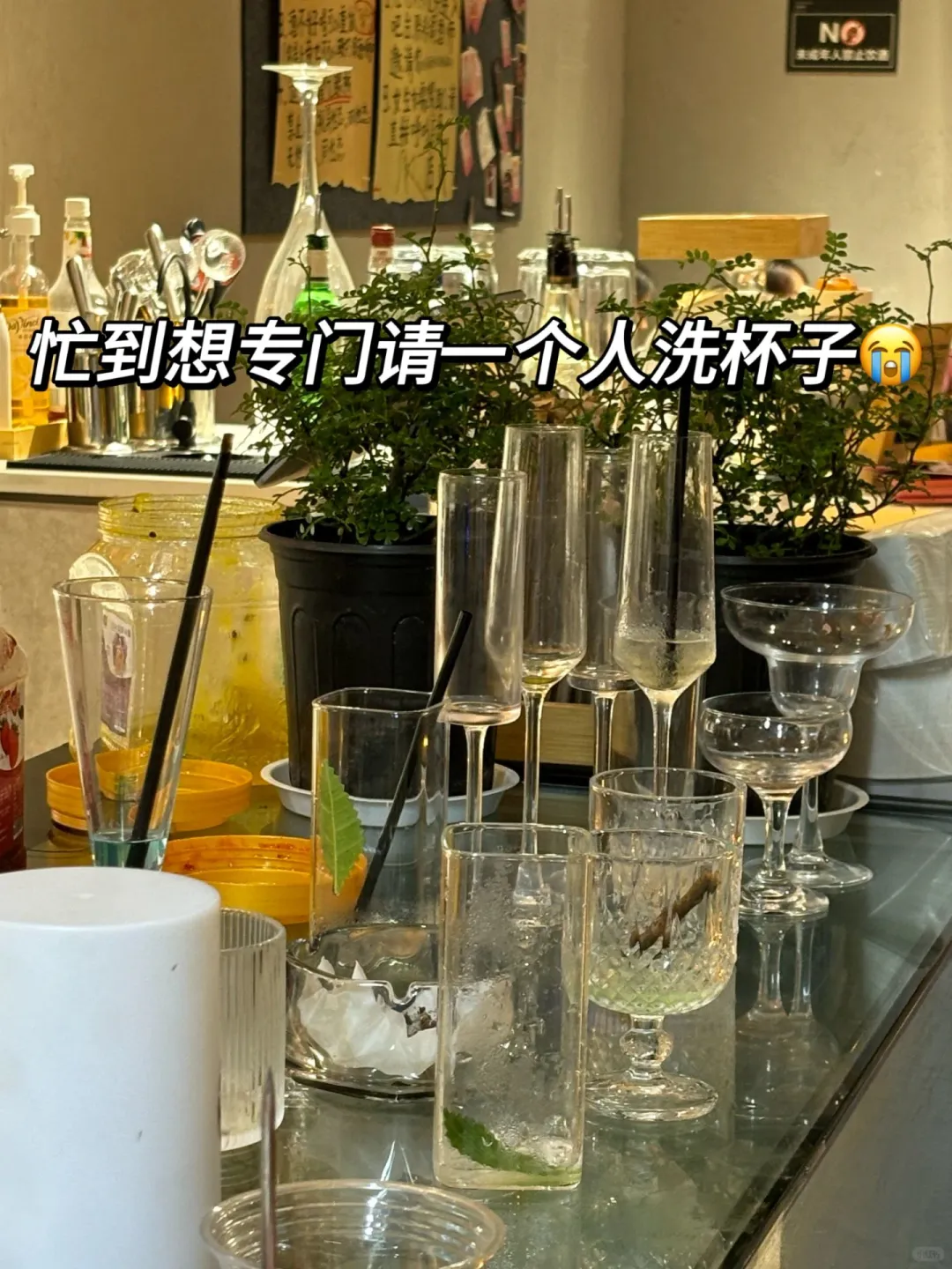 6w開了家9.9r小酒館3個月回本曹体，說點(diǎn)大實話