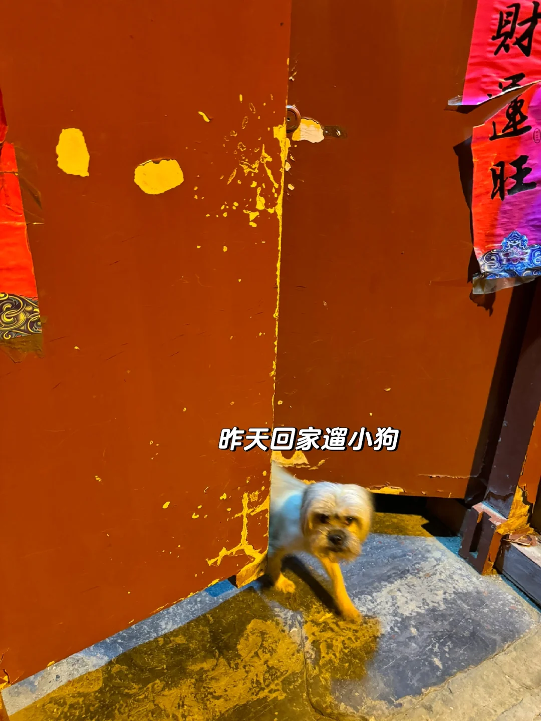 酒行业打工人?|喝酒的朋友太少了??‍♀️