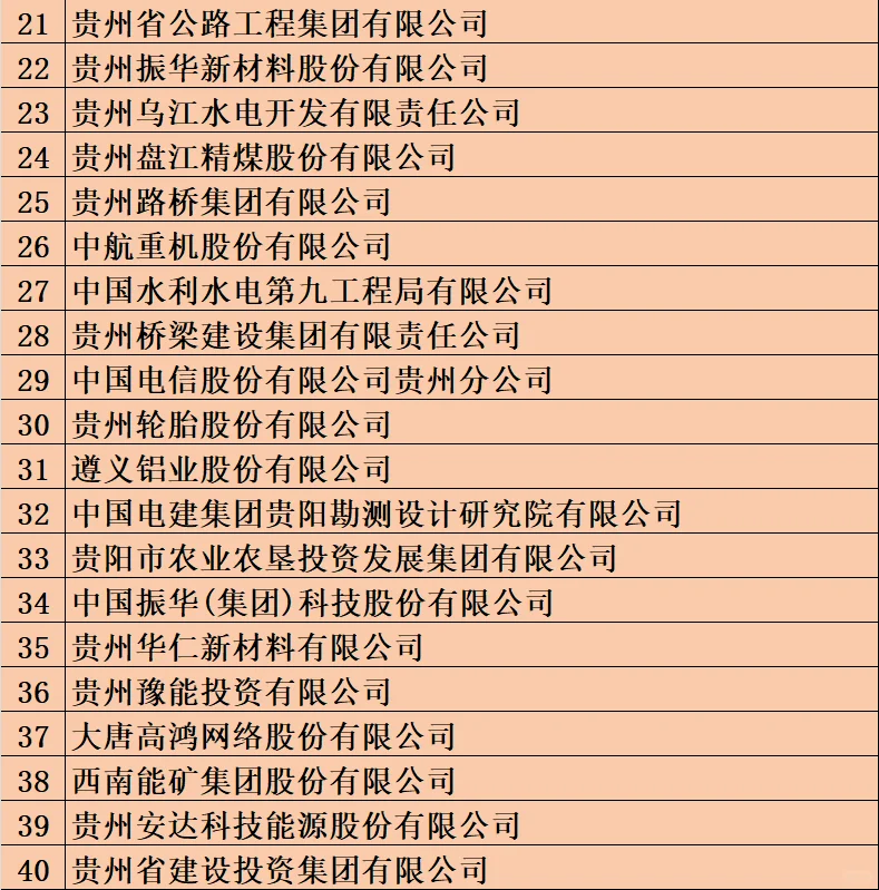 贵州100强企业