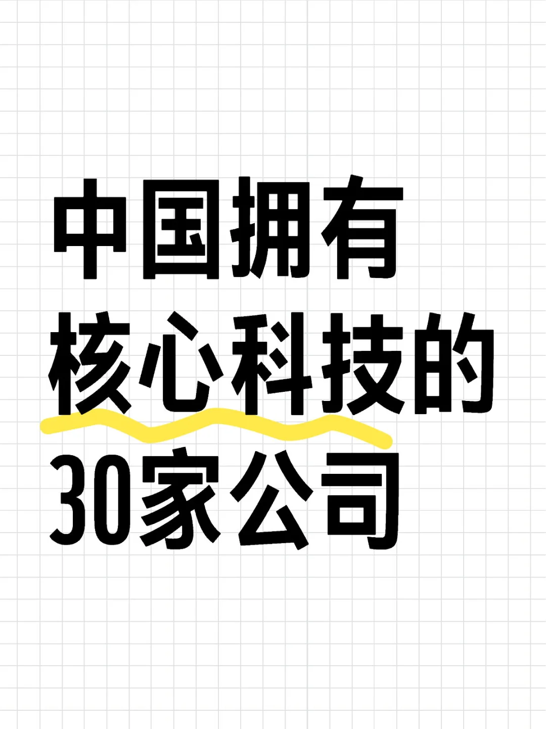 中國擁有核心科技的30家公司