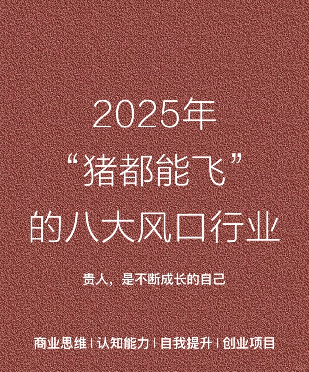 2025“豬都能飛”的八大風(fēng)口