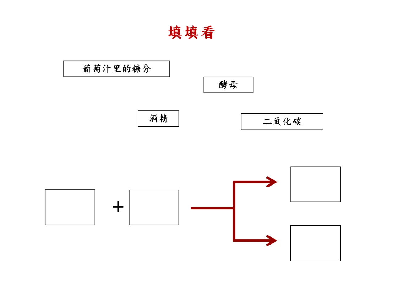 ?最強(qiáng)入坑指南｜看完比身邊99%人更懂酒