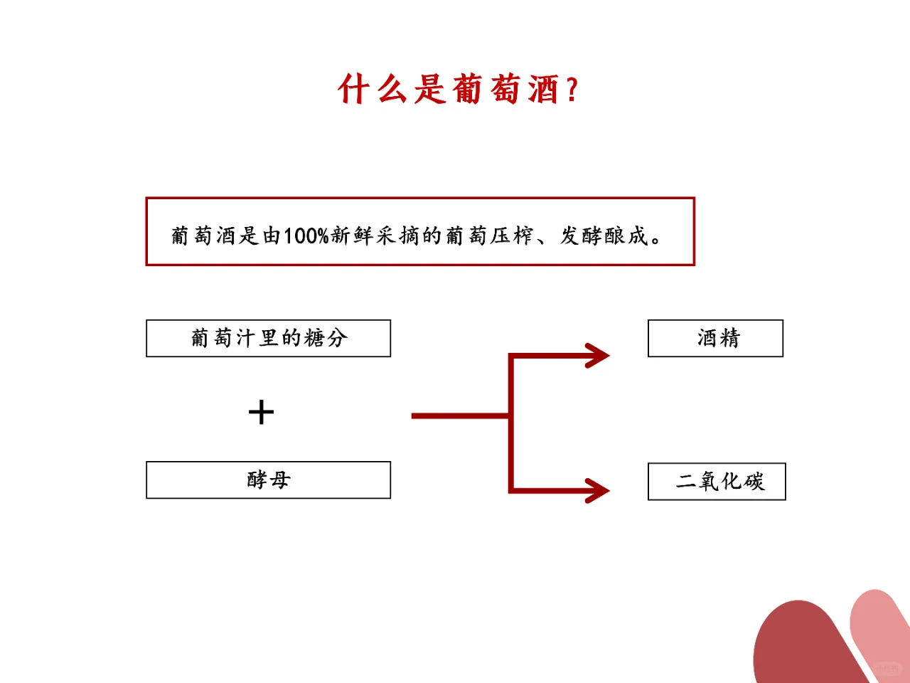 ?最強(qiáng)入坑指南｜看完比身邊99%人更懂酒