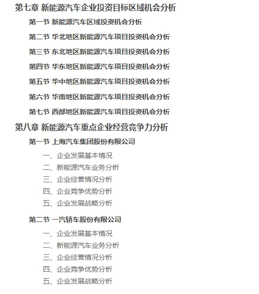 中國新能源汽車行業(yè)企業(yè)項目投資分析報告