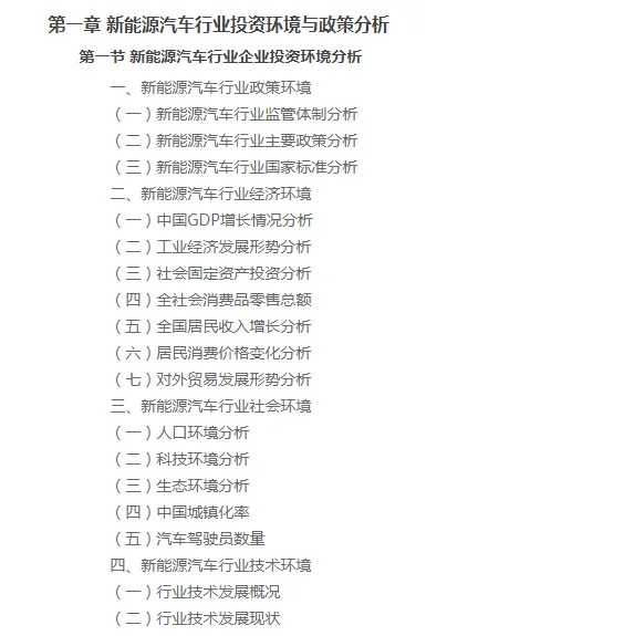 中國新能源汽車行業(yè)企業(yè)項目投資分析報告