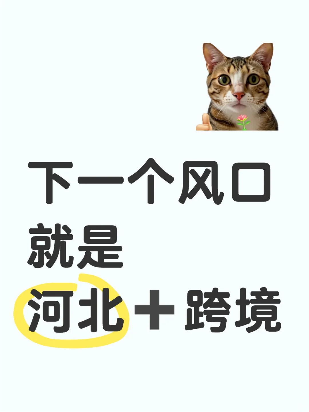 河北+跨境?下一個(gè)風(fēng)口來襲