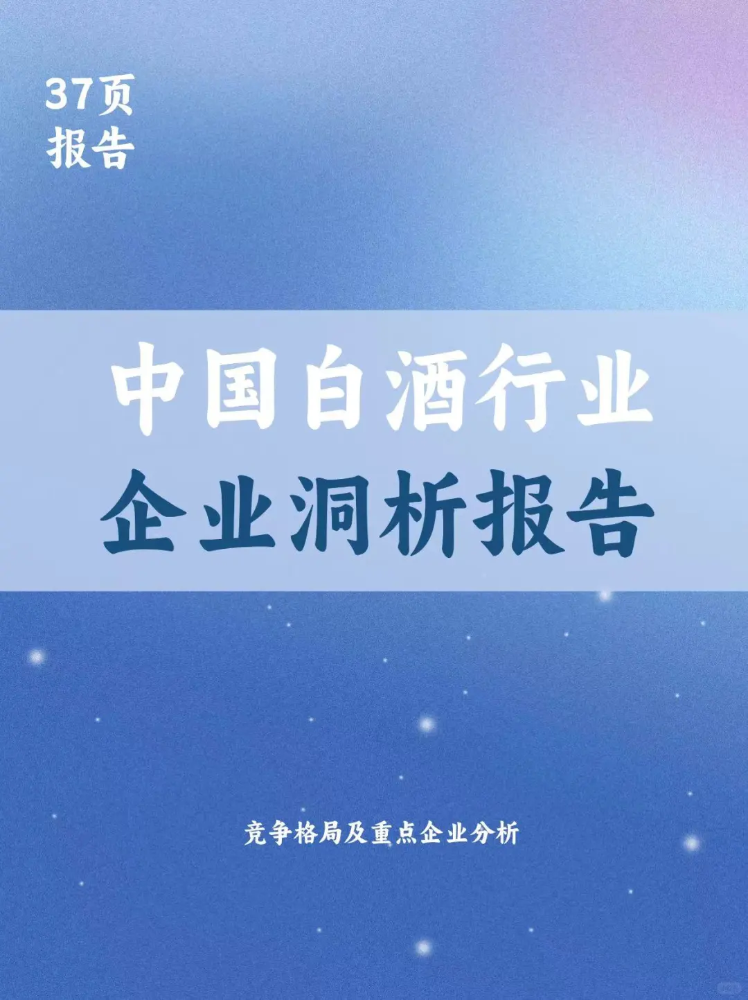 白酒行業(yè)企業(yè)洞析報告