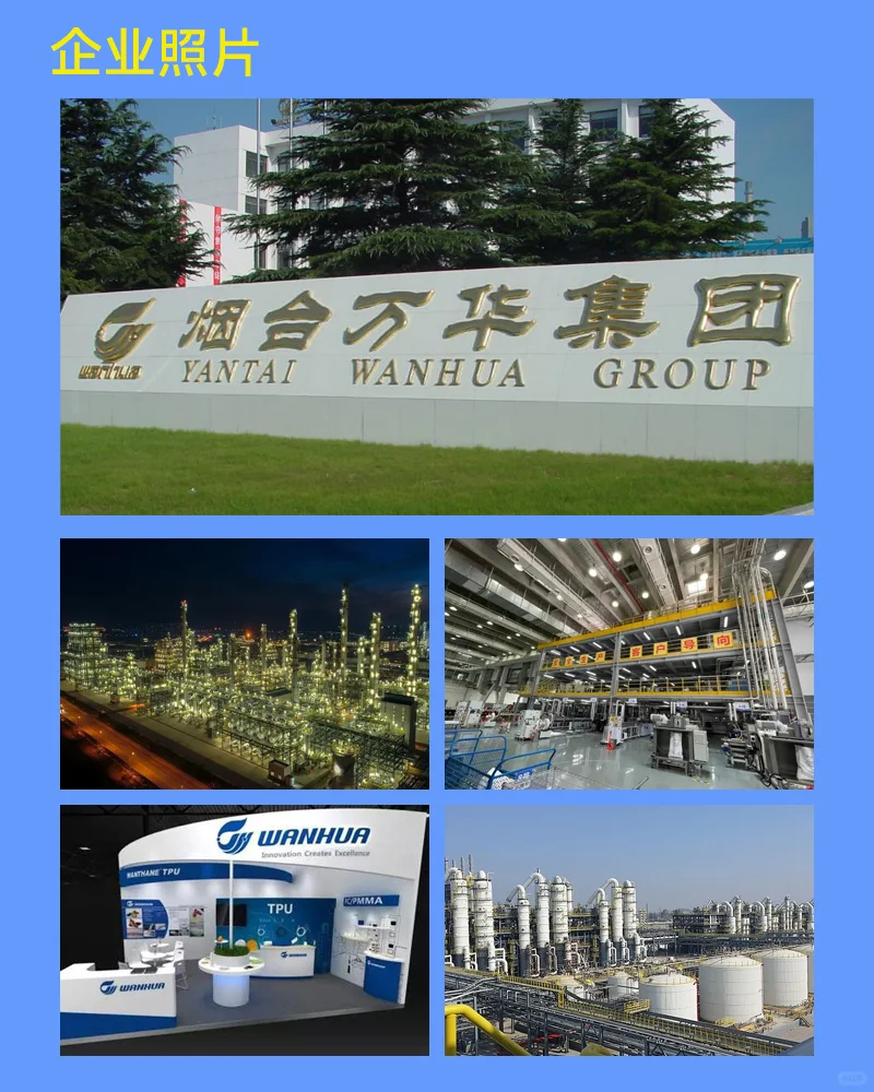 每周了解一家大厂,NO.5:万华化学!