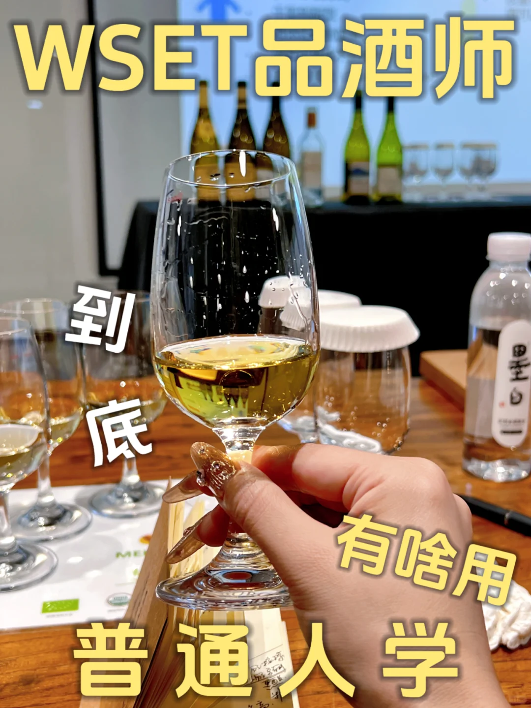 WSET? | 拿下二級(jí)品酒師