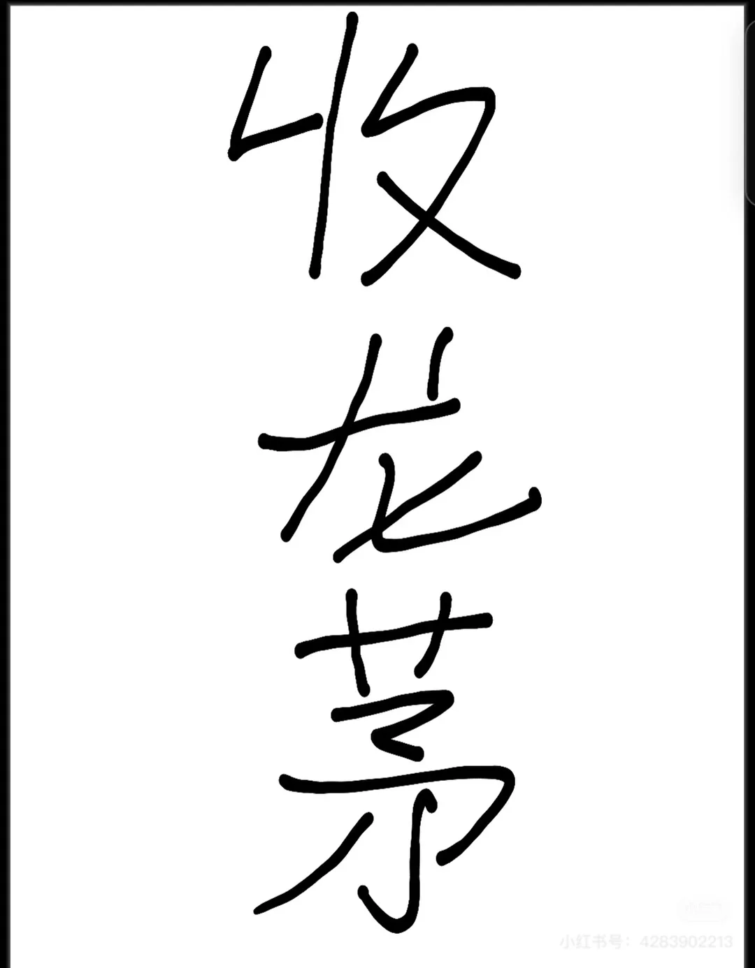 龙茅