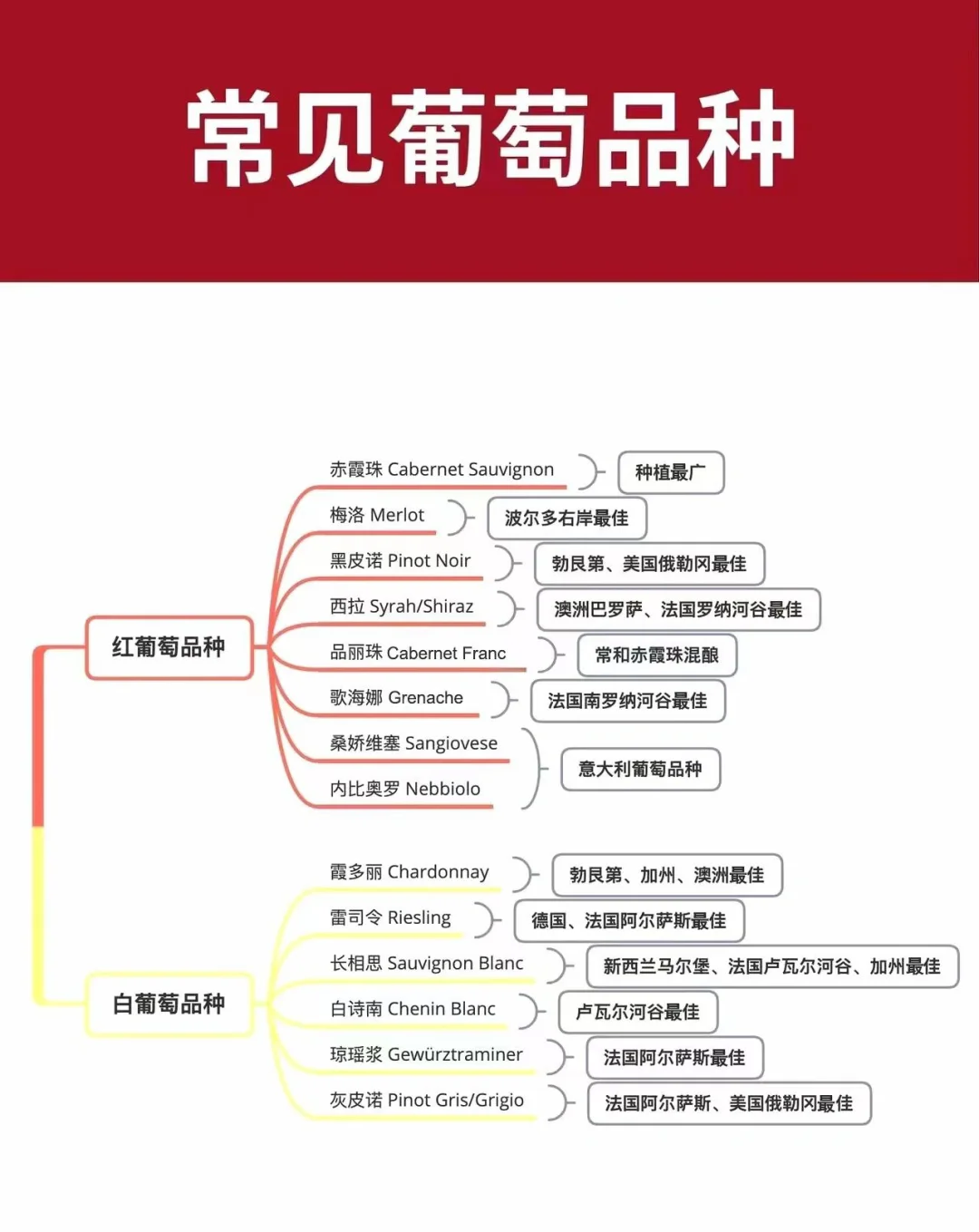 秒懂葡萄酒入門知識?學會你也是品酒高手