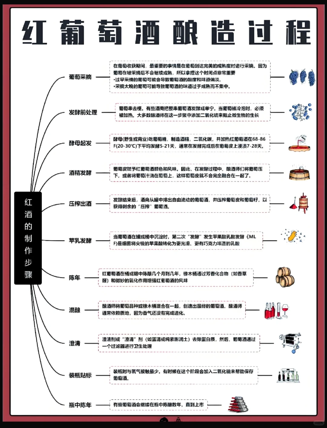 ?葡萄酒是怎么酿出来的？揭秘酿造工艺！