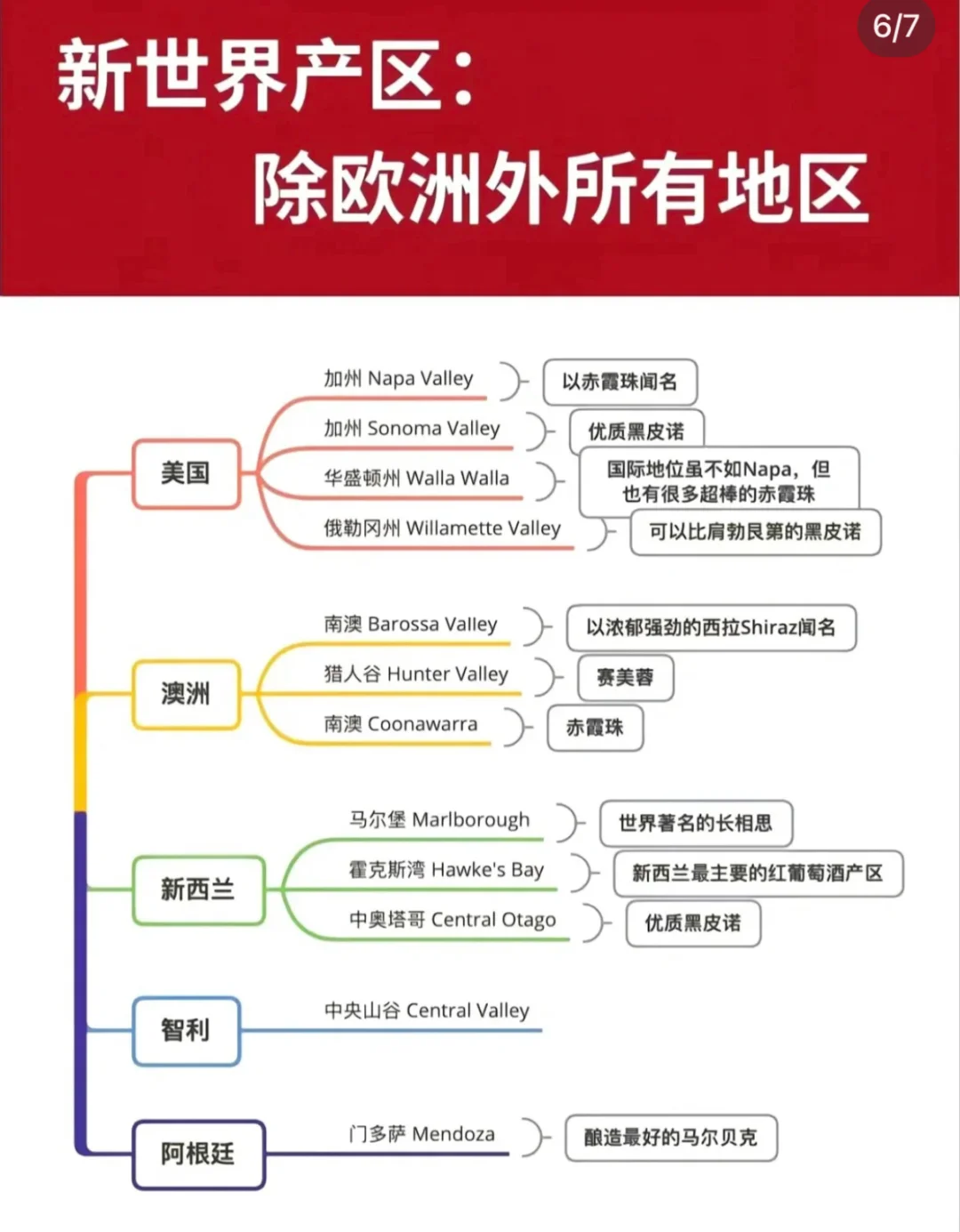 1分鐘帶你快速入門葡萄酒知識，趕緊碼琢行颉碧爬！