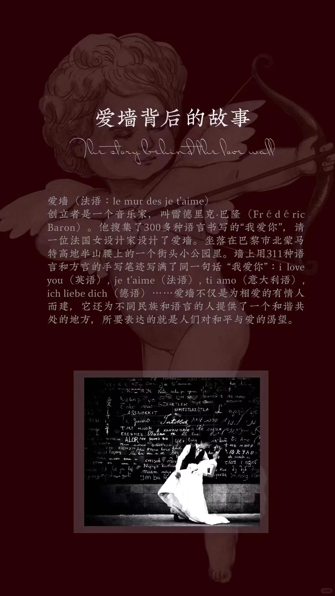 今天喝的法系红葡萄酒?