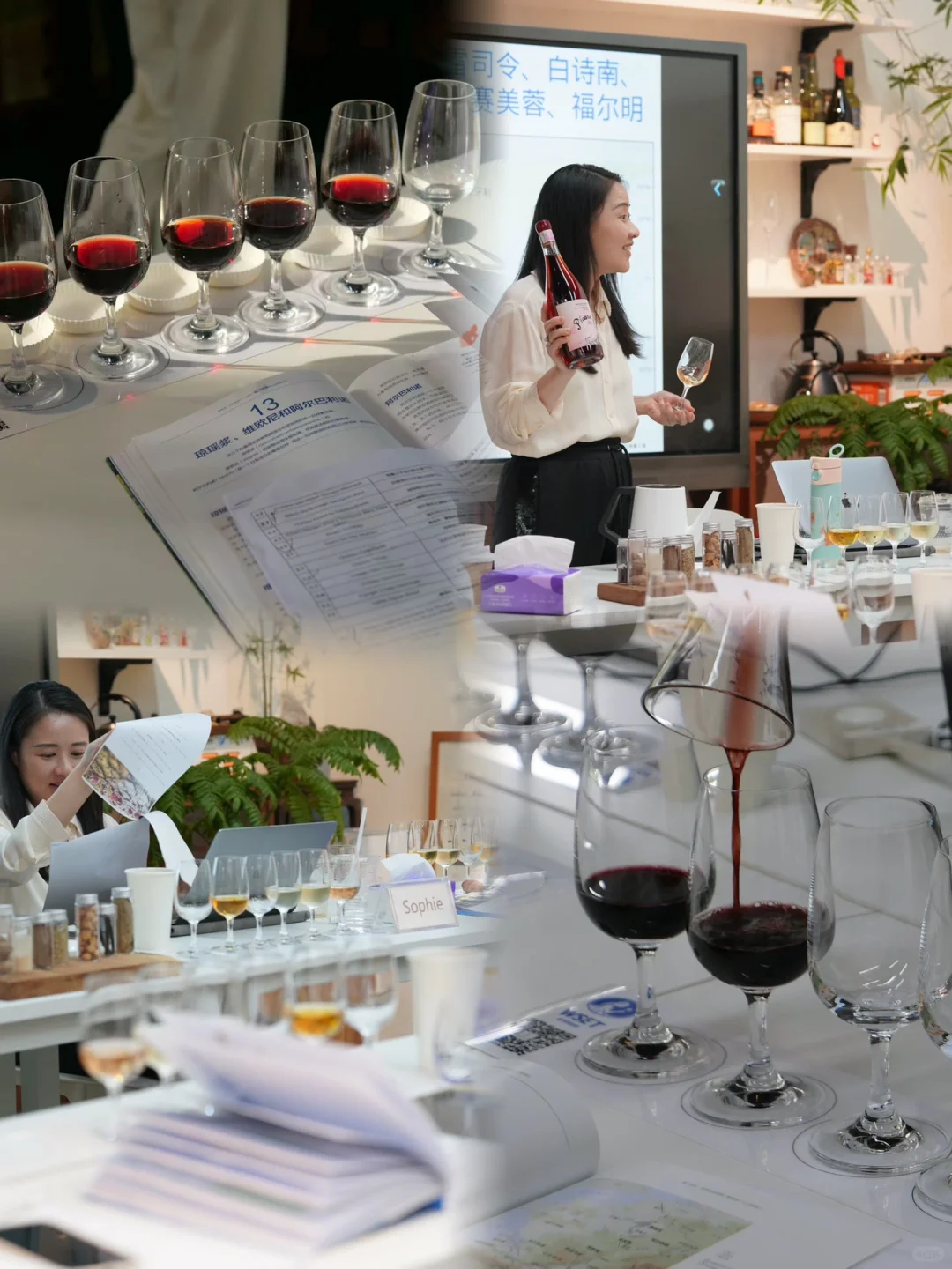 花5200学WSET，我竟然从葡萄酒小白变成