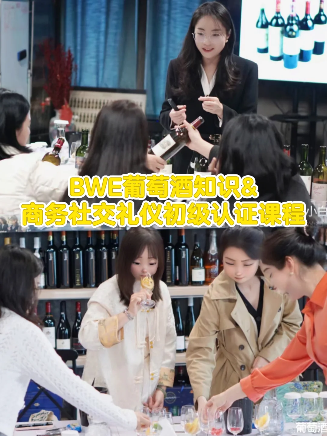 长沙|3?️1号葡萄酒小白入门课!!!