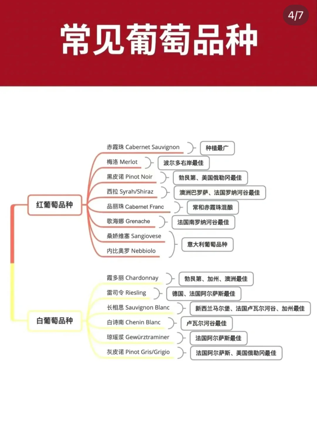 1分鐘帶你快速入門葡萄酒知識，趕緊碼啄笨小舰绘！