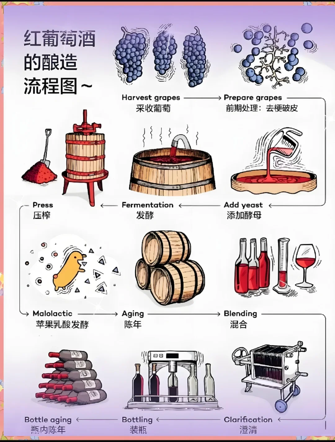 ?葡萄酒是怎么酿出来的？揭秘酿造工艺！