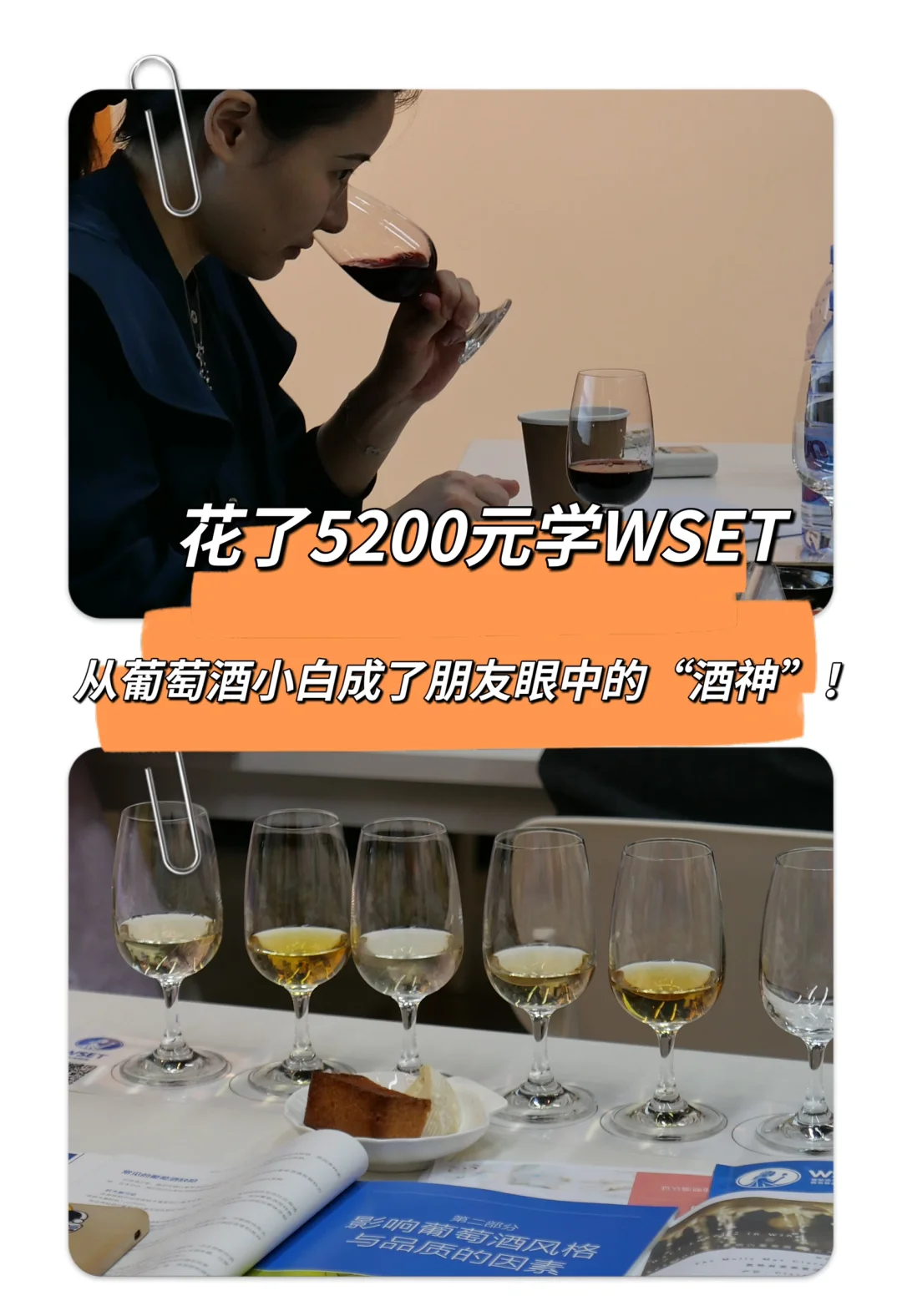 花5200学WSET，我竟然从葡萄酒小白变成