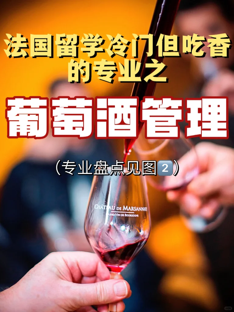 ?法國高商葡萄酒管理專業(yè)惨撇，留學(xué)黨必沖！??