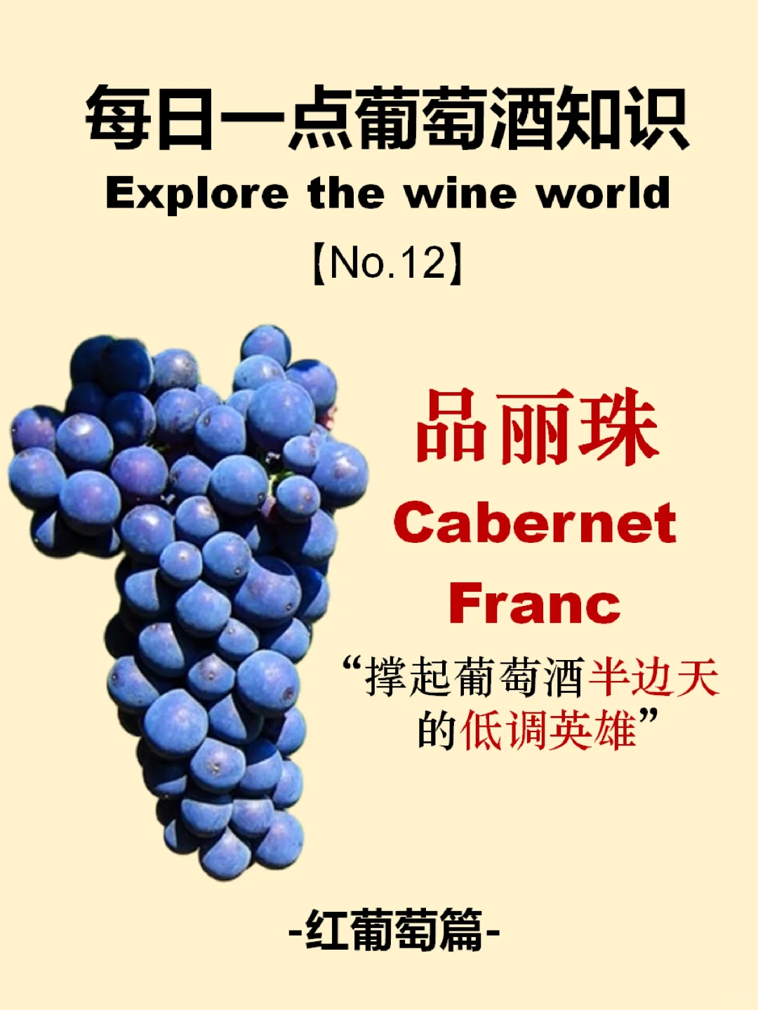 每天懂點葡萄酒|品麗珠Cabernet Franc