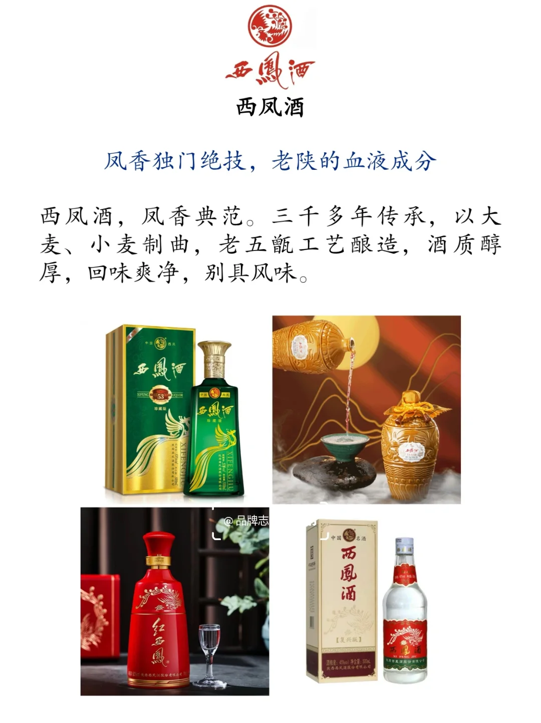 ?中國(guó)十大名酒盤(pán)點(diǎn)|酒鬼女孩必看姊宗！