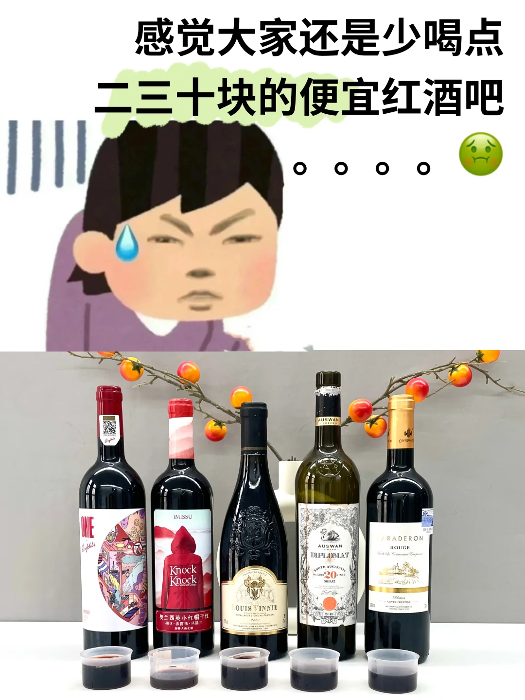 奉勸大家還是少喝點(diǎn)二三十塊的便宜紅酒吧..